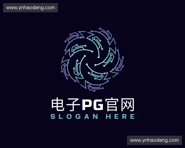 解读电子PG官网